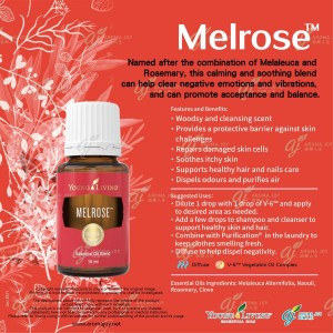 Melrose 駐容
